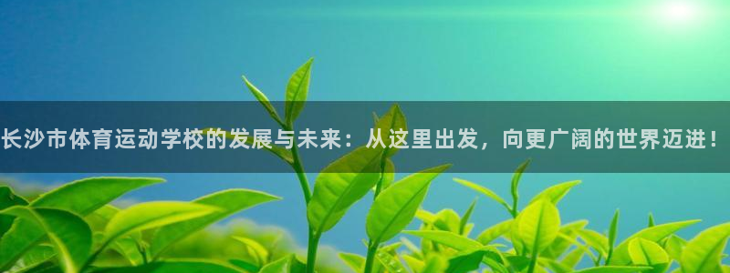 沐鸣注册地址