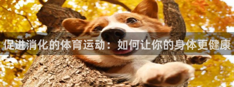 沐鸣2体育官网注册