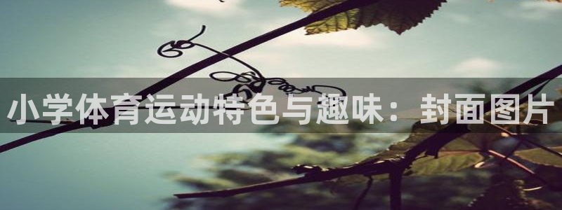 沐鸣2体育app下载