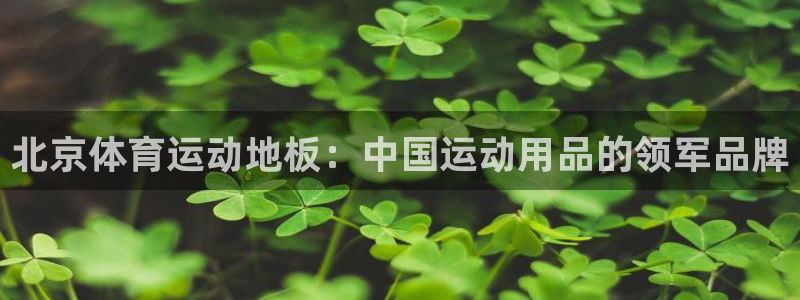 鸣潮网页版登录入口