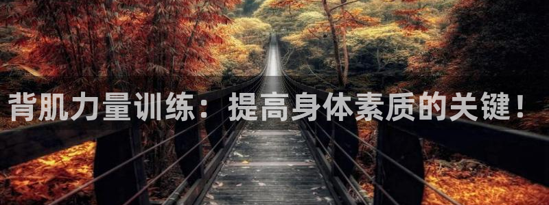 沐鸣2vk