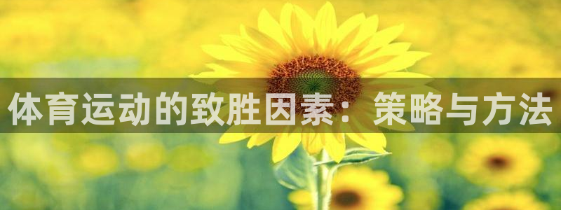 沐鸣2集团官网