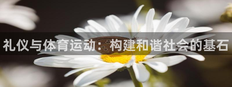 沐鸣2体育凯捷平台招商