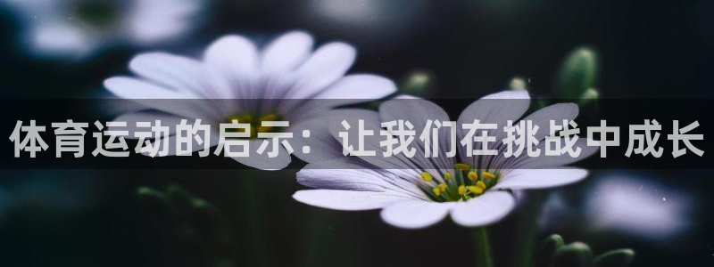 沐鸣2体育用品