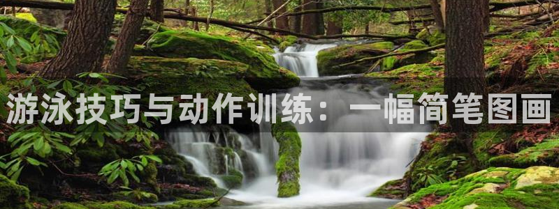 东莞市沐鸣2电子科技有限公司