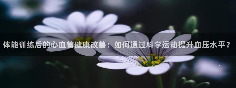 沐鸣2测速登陆