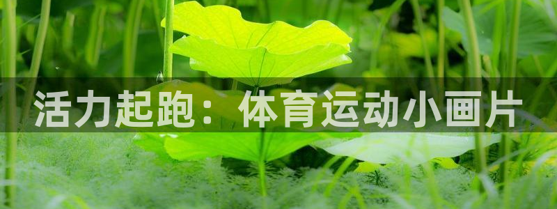 沐鸣2官网注册