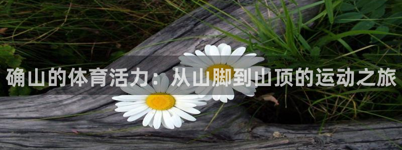沐鸣2平台在线注册