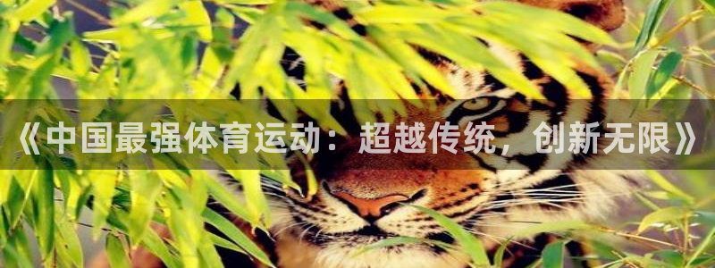 佛山市南海沐鸣2机电仪器有限公司