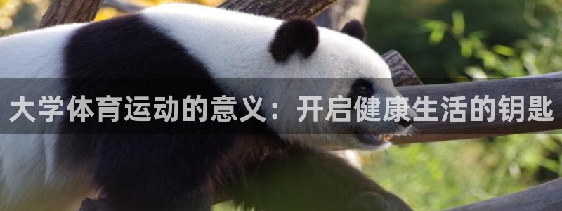 沐鸣23代理