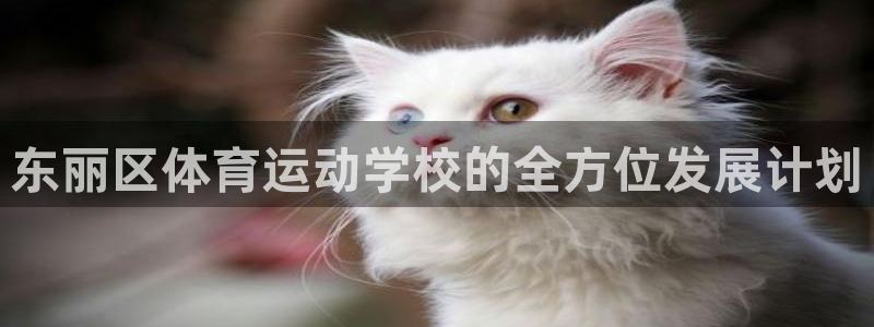 沐鸣2体育3在线注册