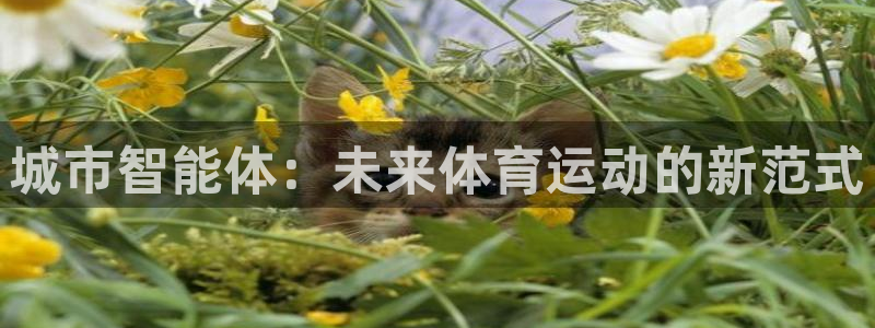 沐鸣平台登录