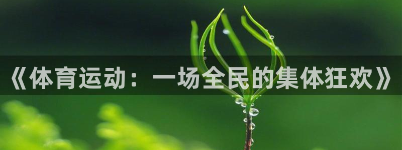 沐鸣23